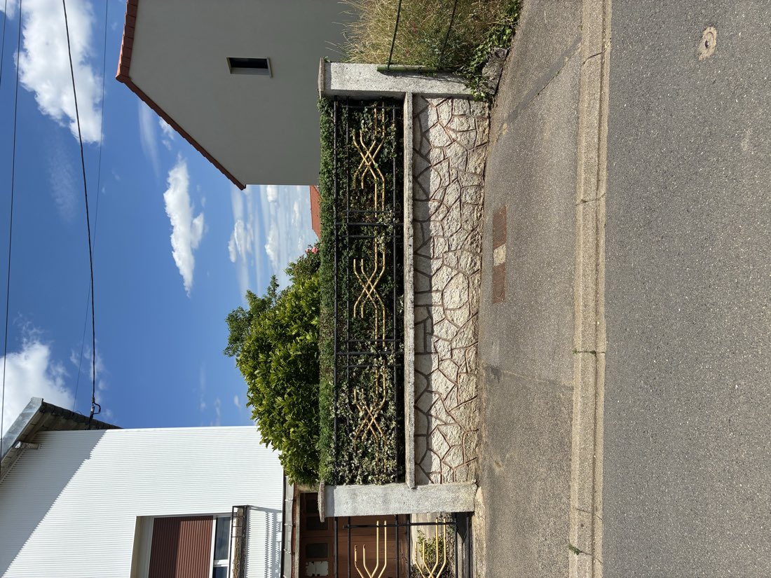 Haie taillée au-dessus d'un muret en pierre